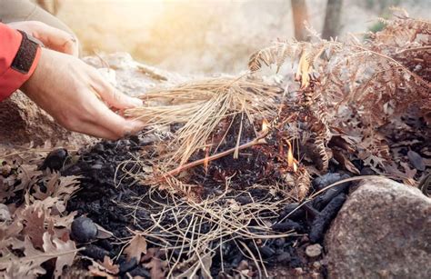 The best kindling for fire building: What works like a .